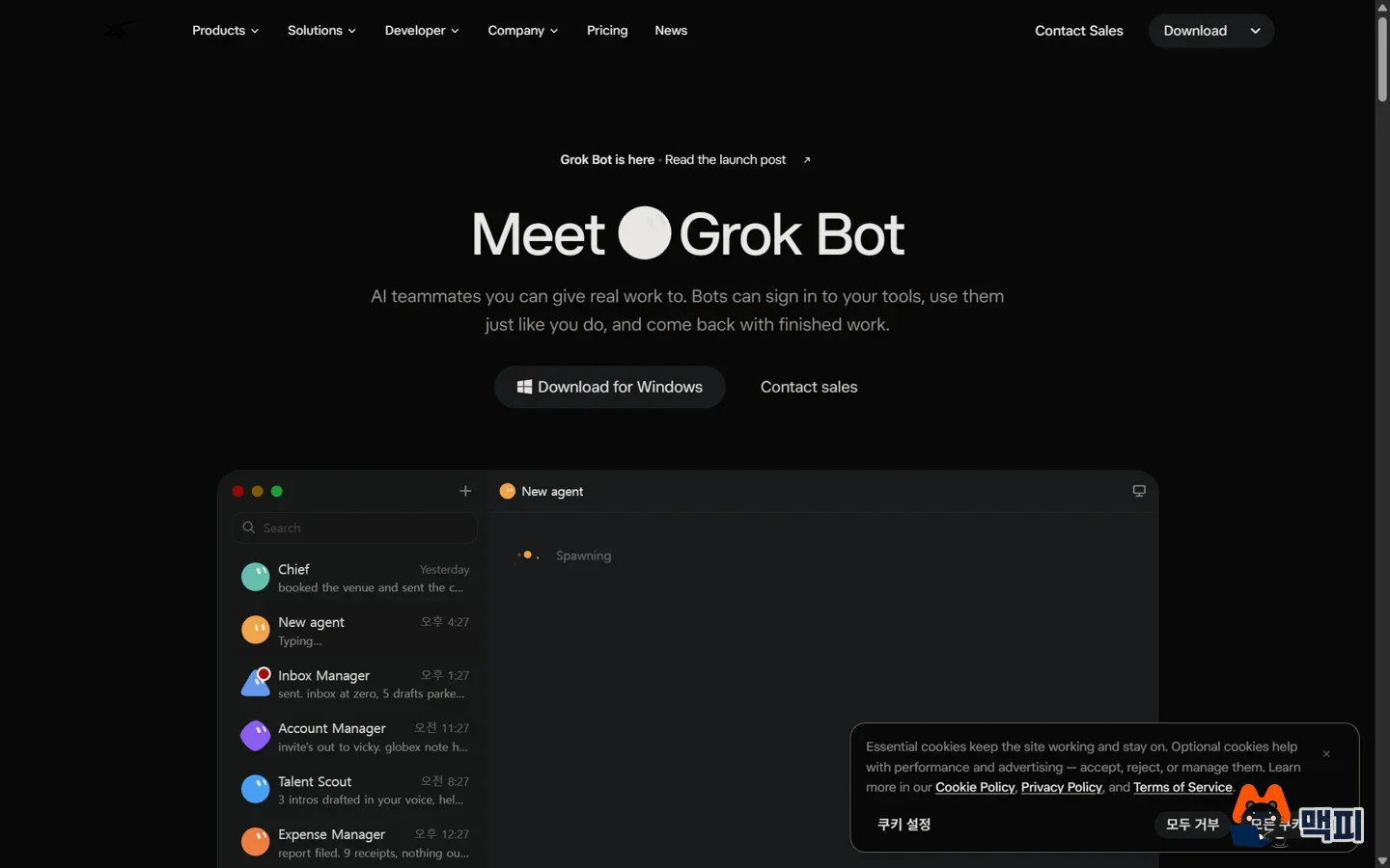 dot.com에 접속하면 최종 도착하는 x.ai/bot의 Grok Bot 안내 화면, 브랜드 도메인 선점 사례